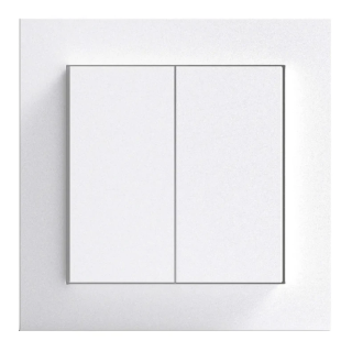 Gira Senic Friends of Hue schakelaar - Systeem 55