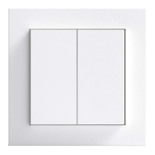 Gira Senic Friends of Hue schakelaar - Systeem 55