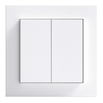 Gira Senic Friends of Hue schakelaar - Systeem 55