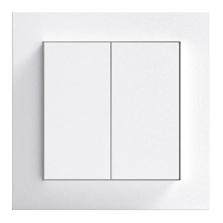 Gira Senic Friends of Hue schakelaar - Systeem 55