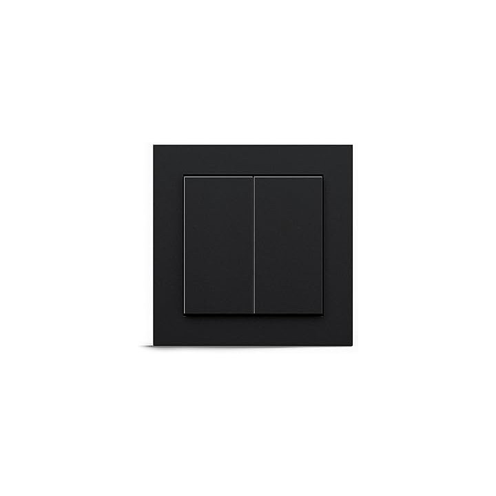 Gira Senic Friends of Hue schakelaar - Systeem 55