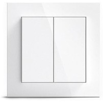 Gira Senic Friends of Hue schakelaar - Systeem 55